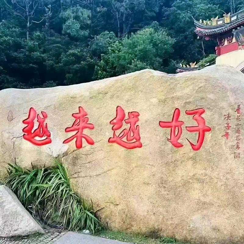 小龙