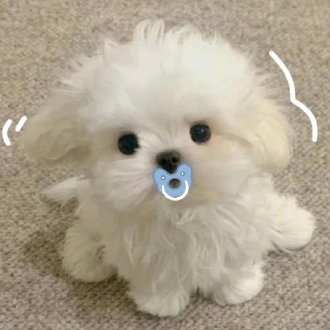 穗穗