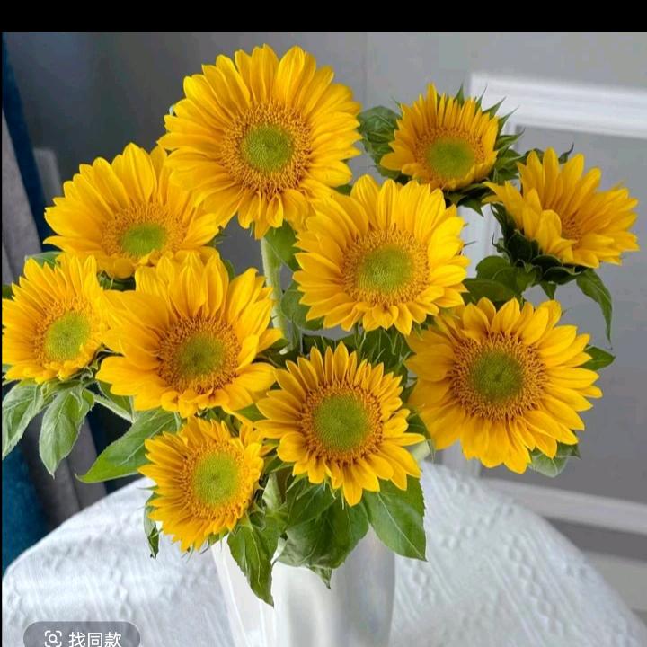 集结号鲜花