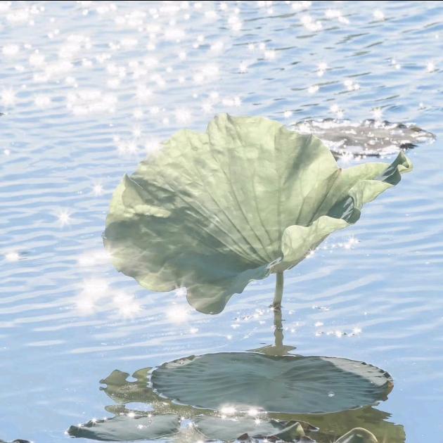 浅予