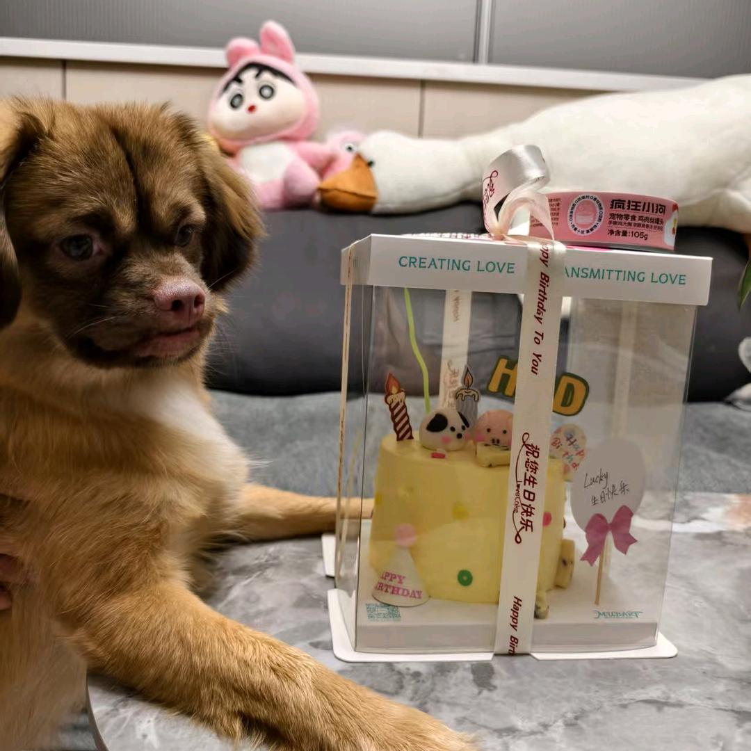 黑皮体育生Lucky