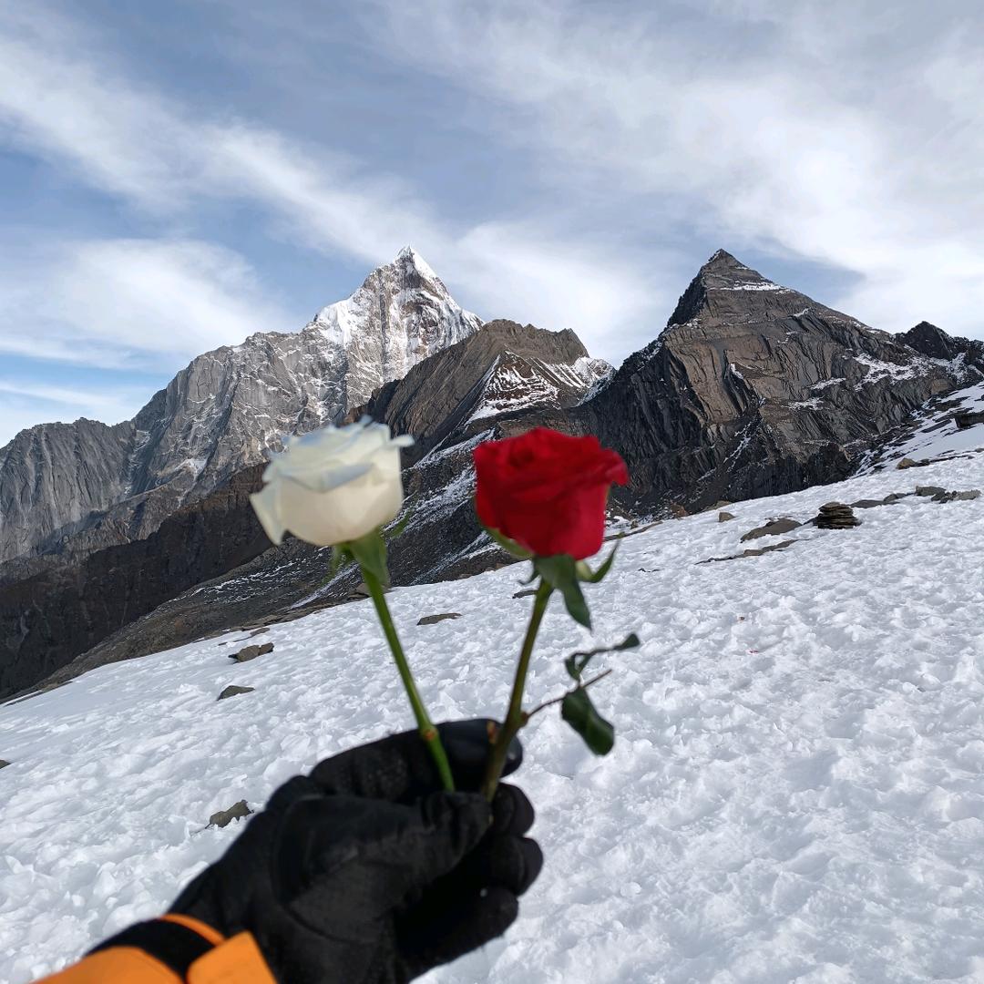 我是你生命中的过客。✌