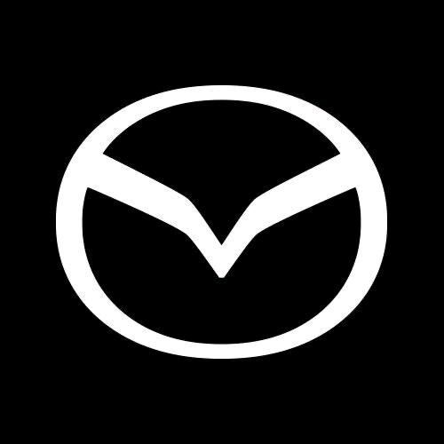 长马新能源济宁骁华店