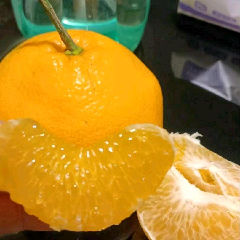 丑小鸭
