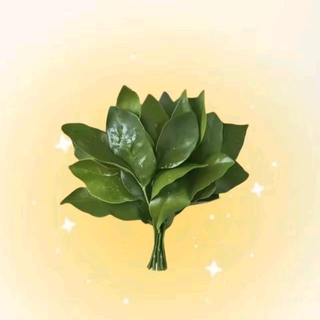 黑橙子皮