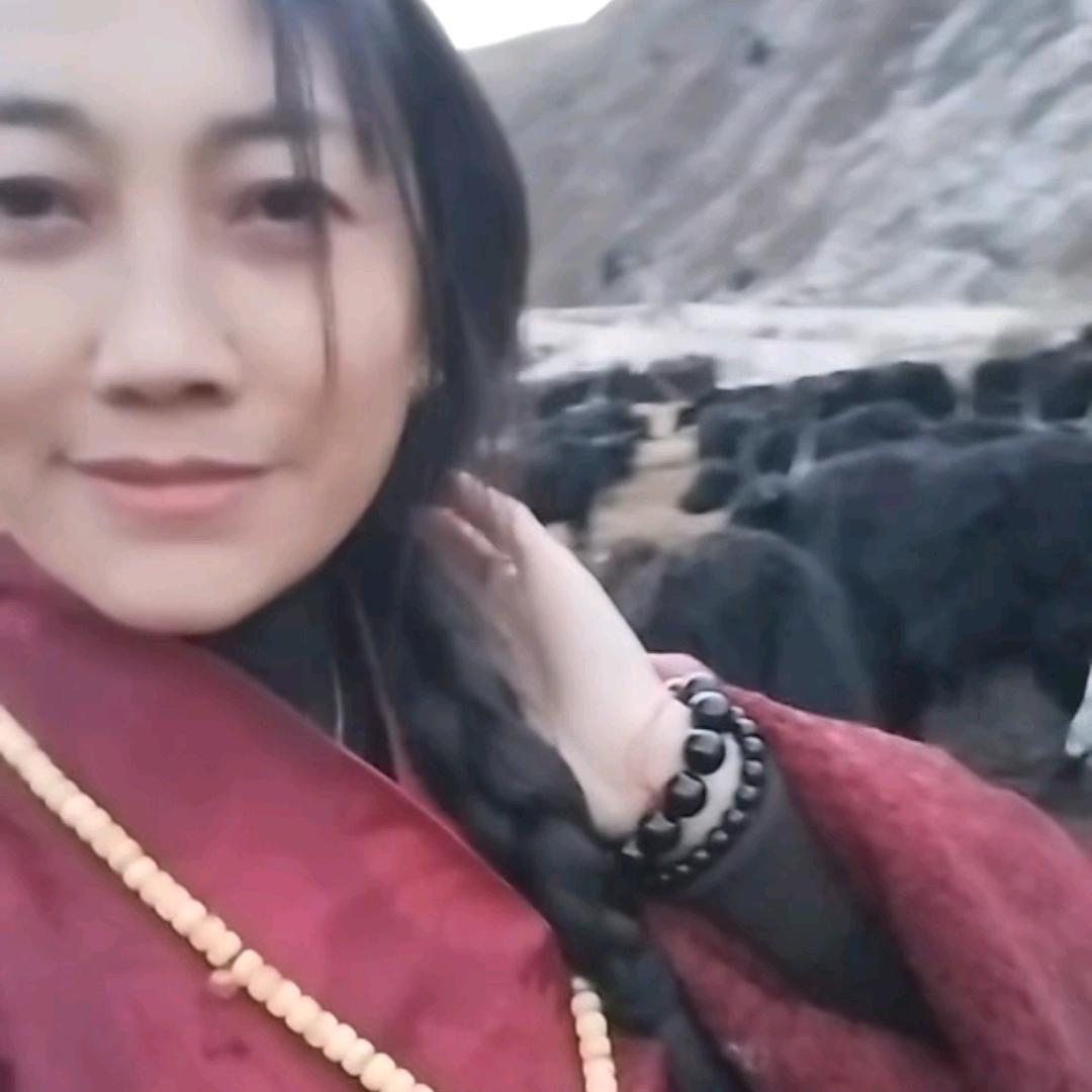 扎永