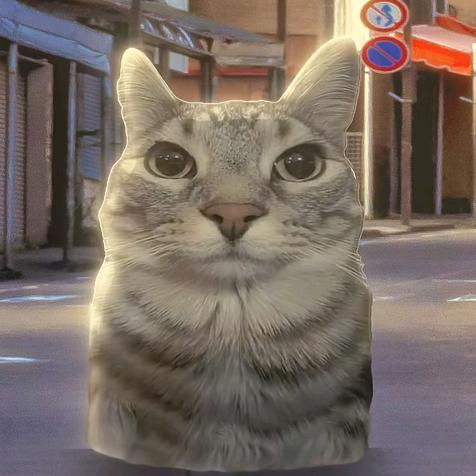 哈基㿟