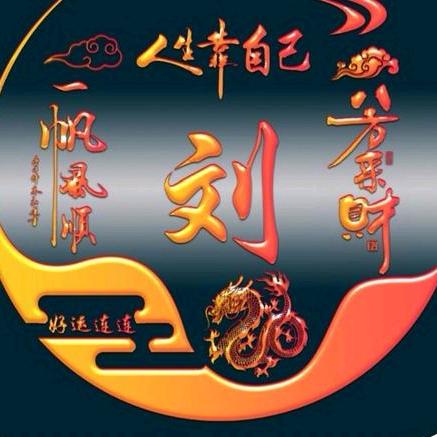 刘金岁月