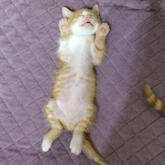 来财来百财