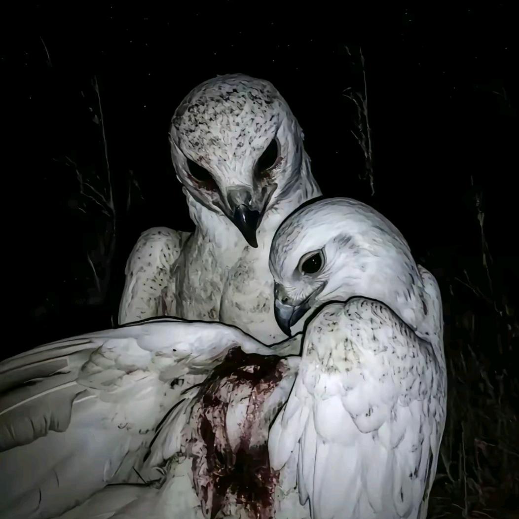 🌈挣钱买个闷闷车