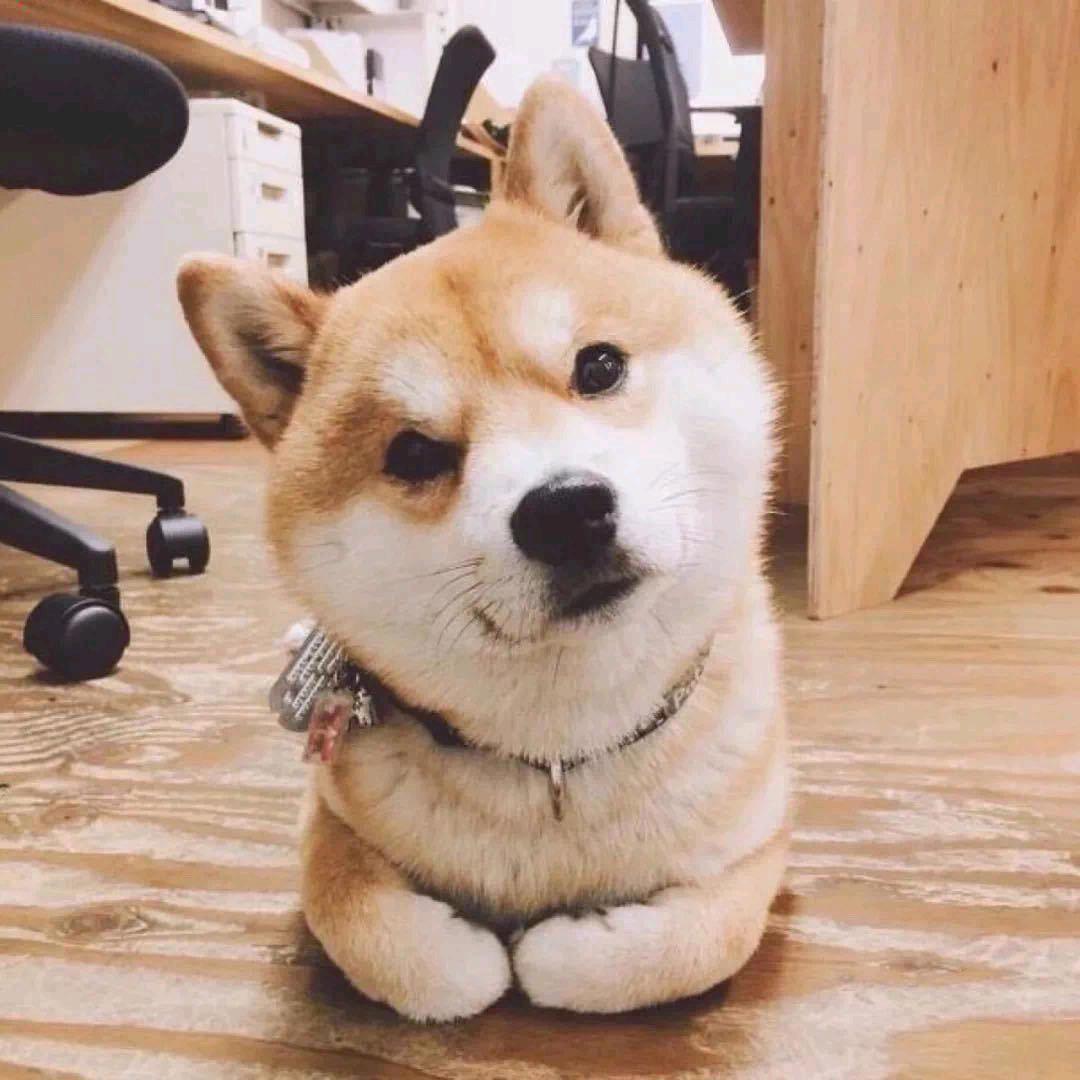 蜡笔不小新·