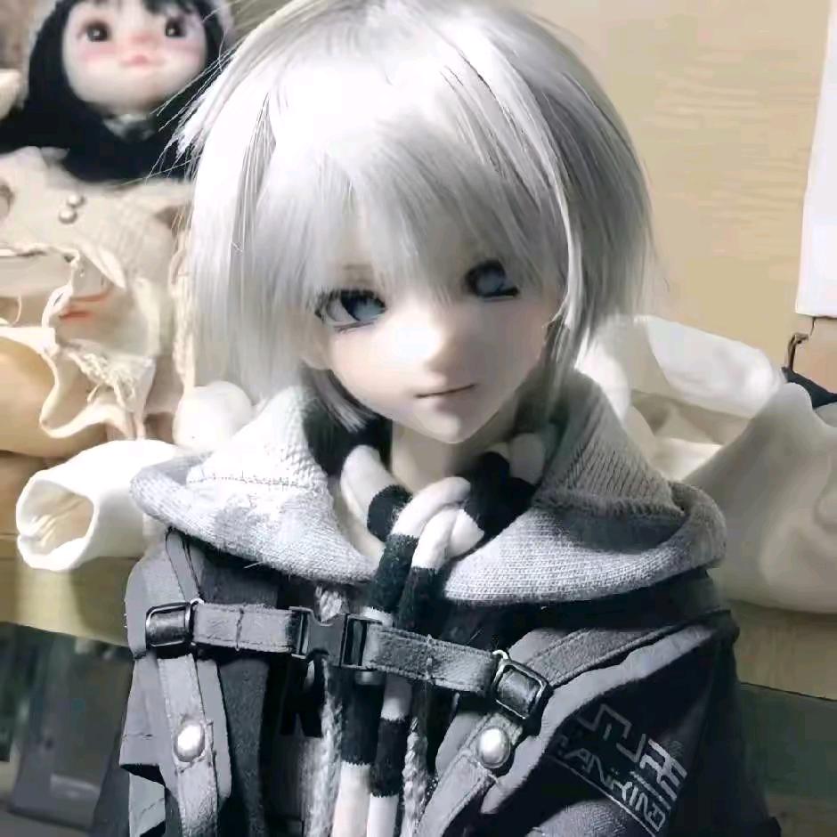 棕榈随风舞
