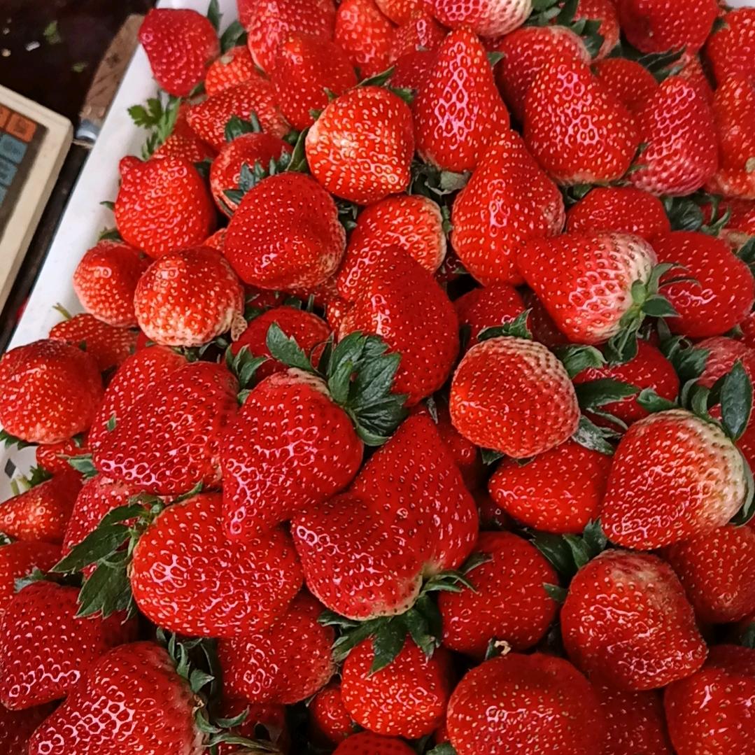 余干王家草莓🍓采摘园