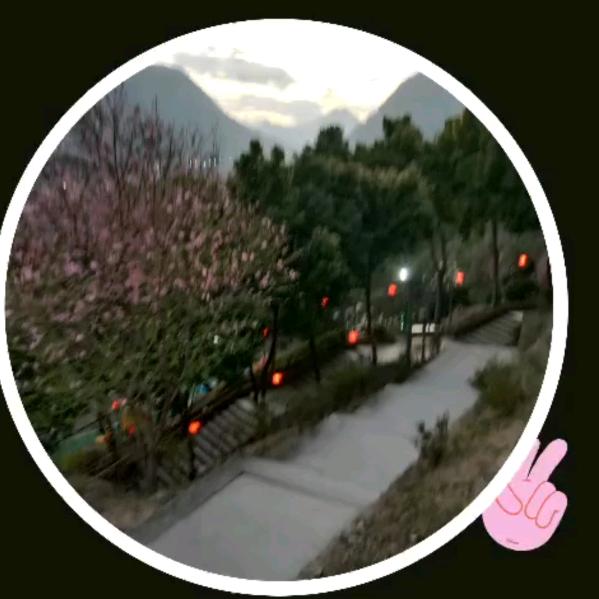 落叶清风