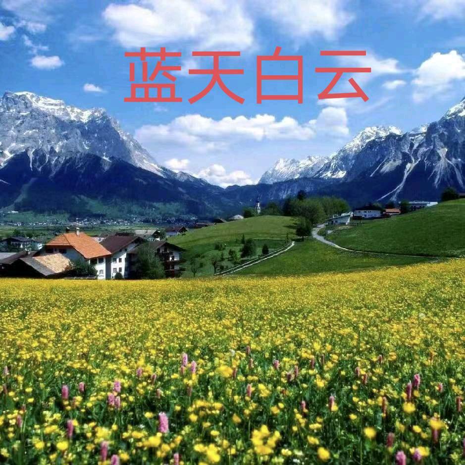 .抖音一号