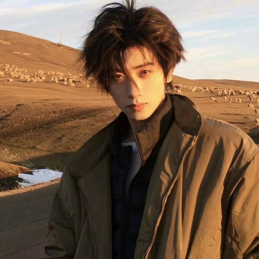A.张xin