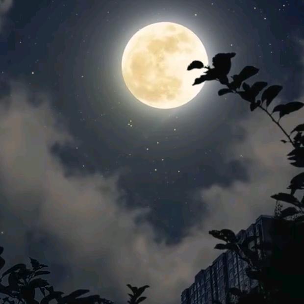 依 然～