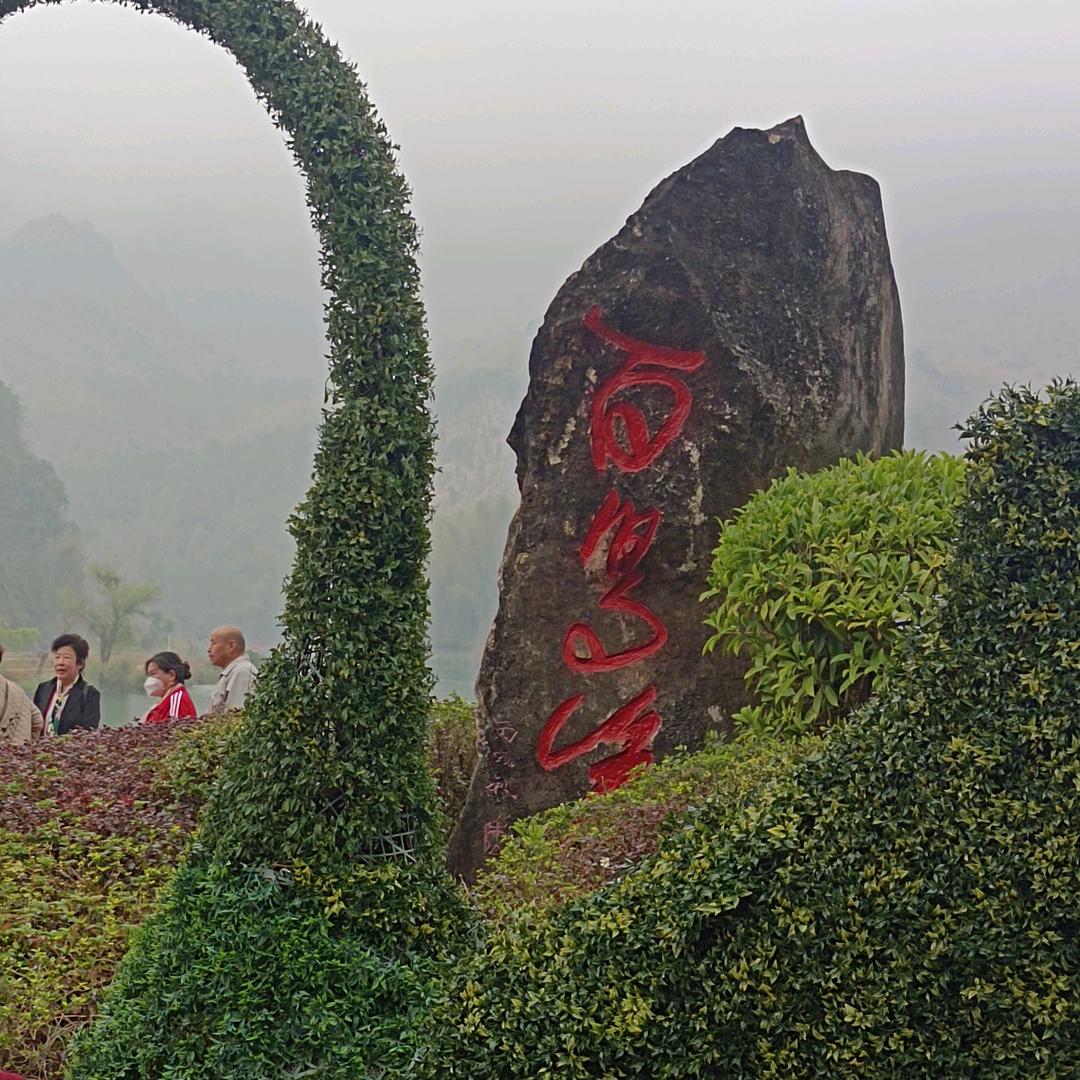 南国的风