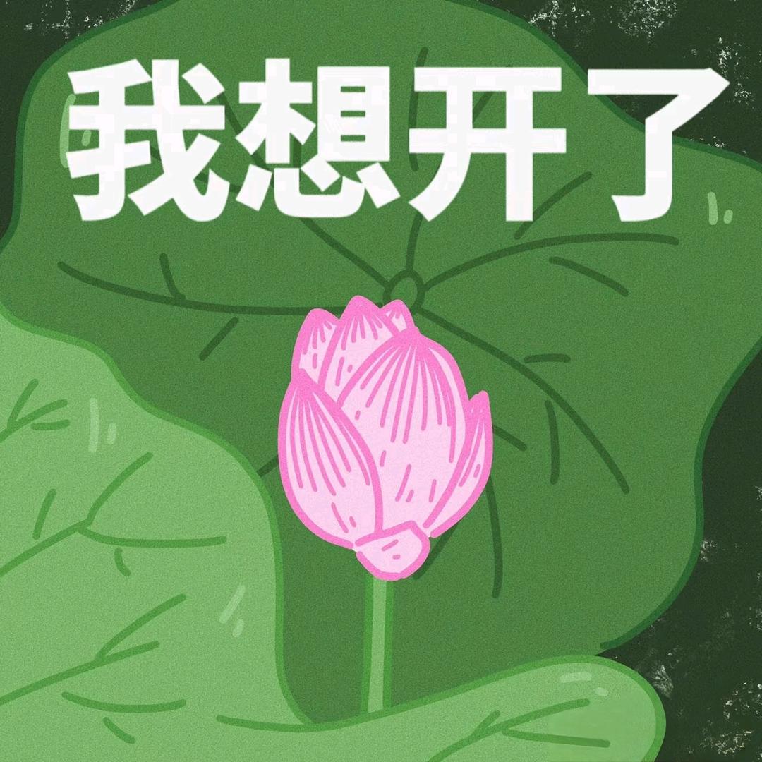 Xi-蓝花