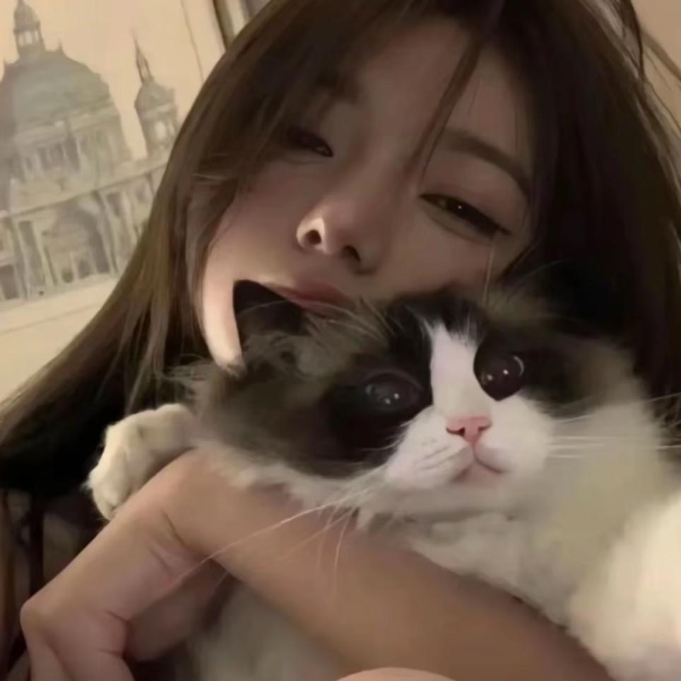 🐾头像
