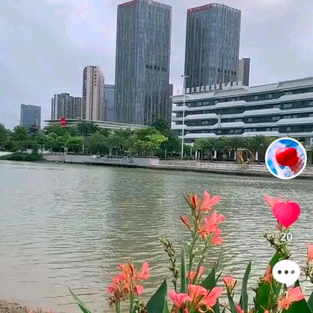 ✨心雨✨