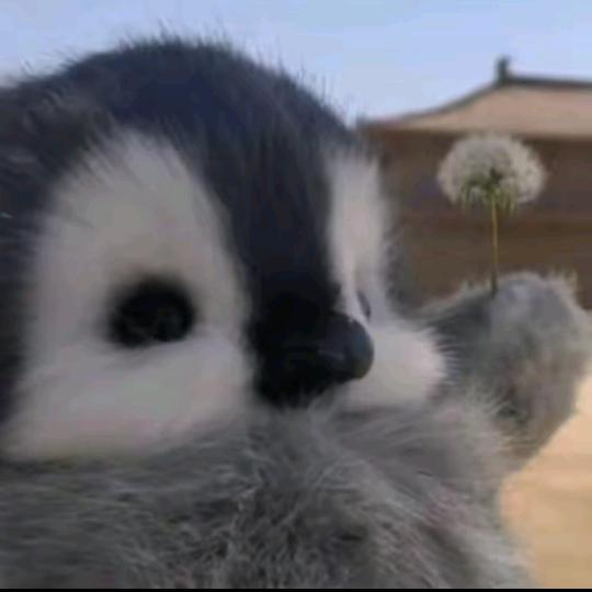 罐装麻辣火龙果