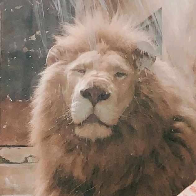 枸杞后悔在药店摸鱼