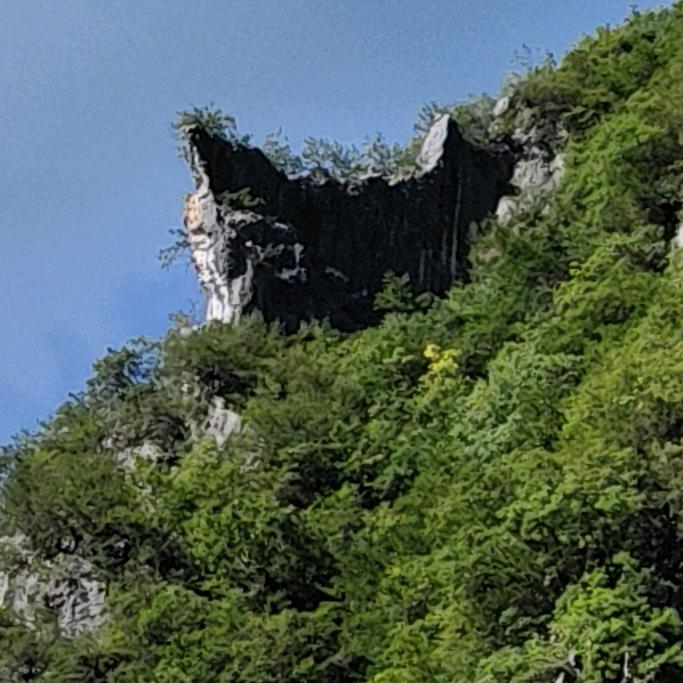 过⛰️🐔腿