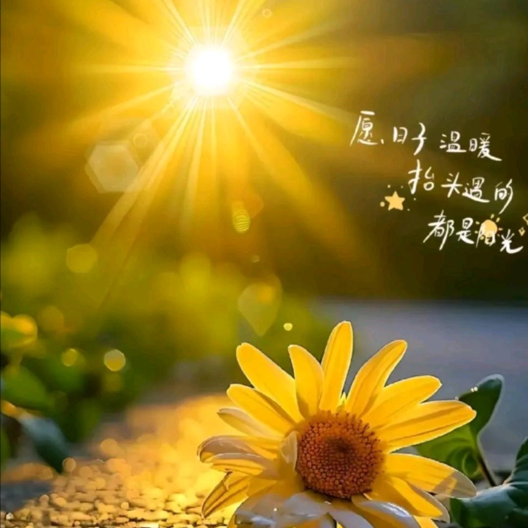 Ꭽℯ⃝落ঞᩚ幕꧔ꦿ᭄