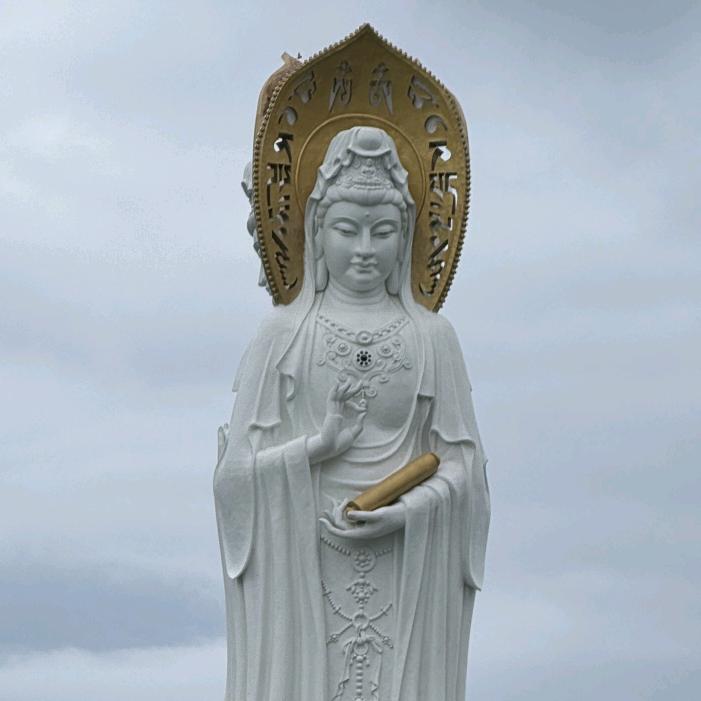 小新ihsj