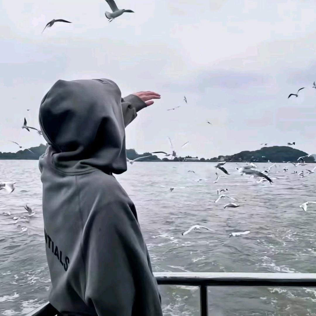 唔西迪西