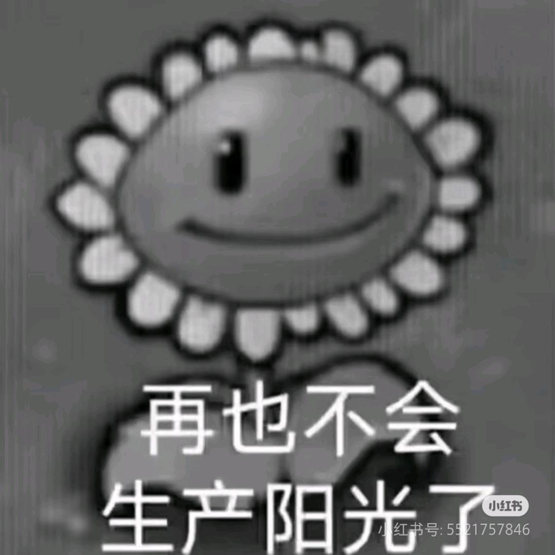 苹果蛋