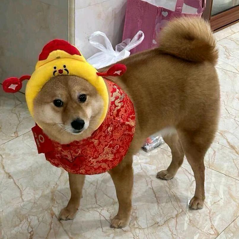 总要热爱点什么