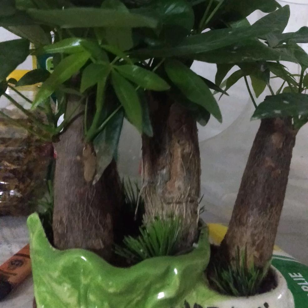 珍惜.