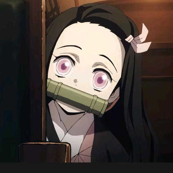 卷子一米八五