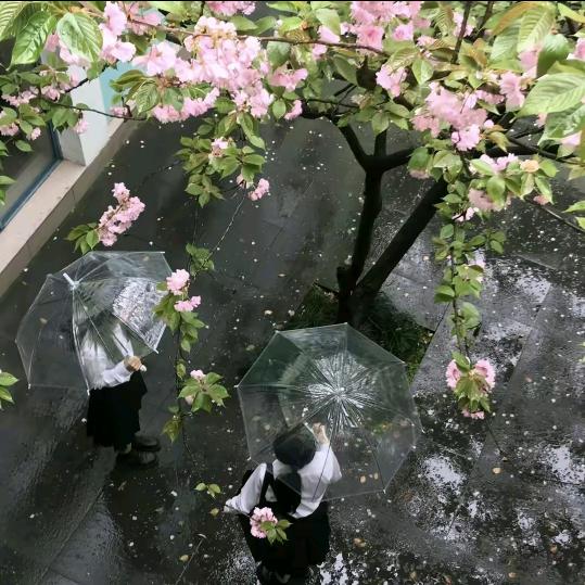 阿成的快乐生活