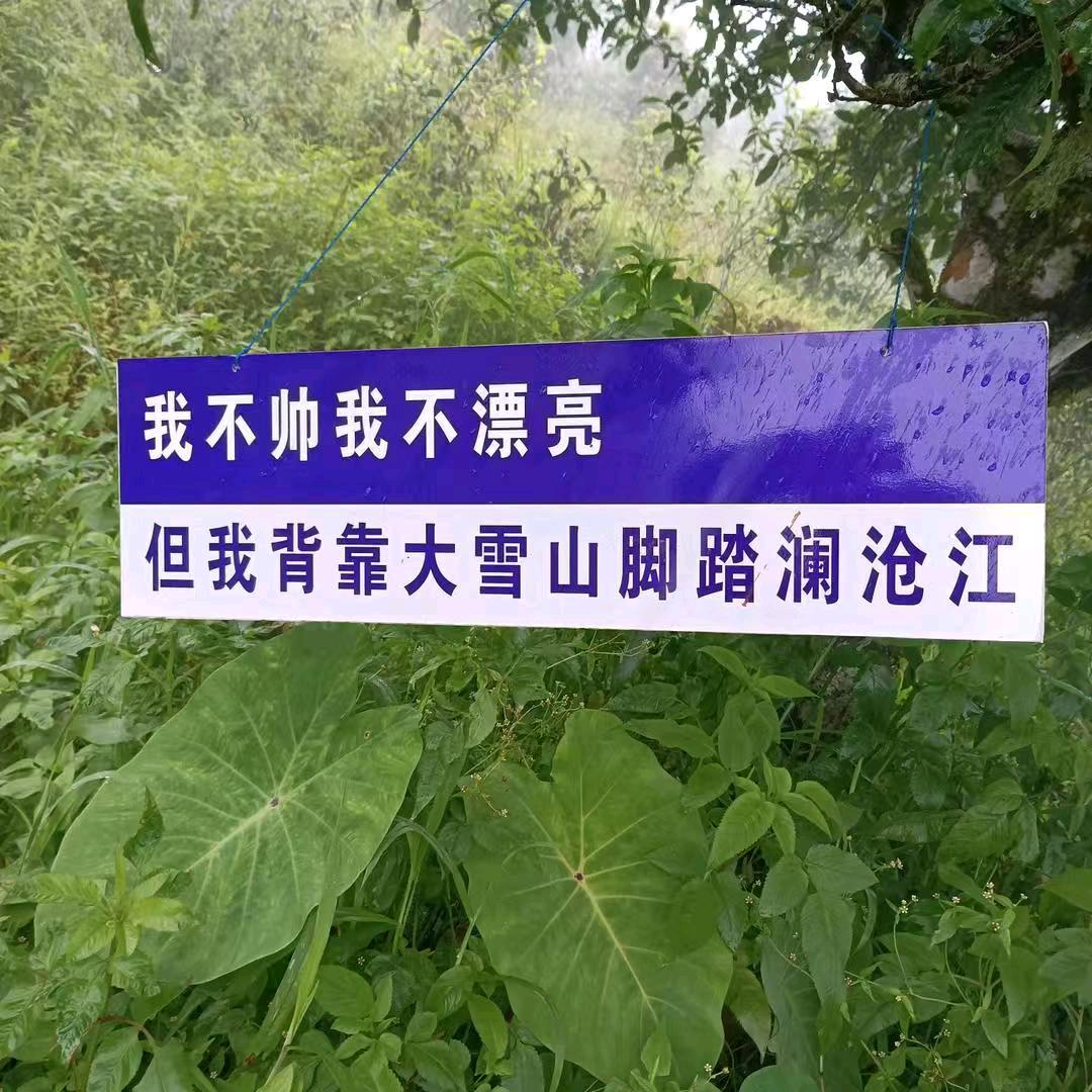 记住该记住的  忘记该忘记的