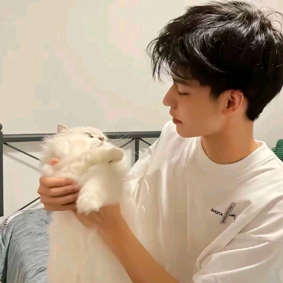 狗狗