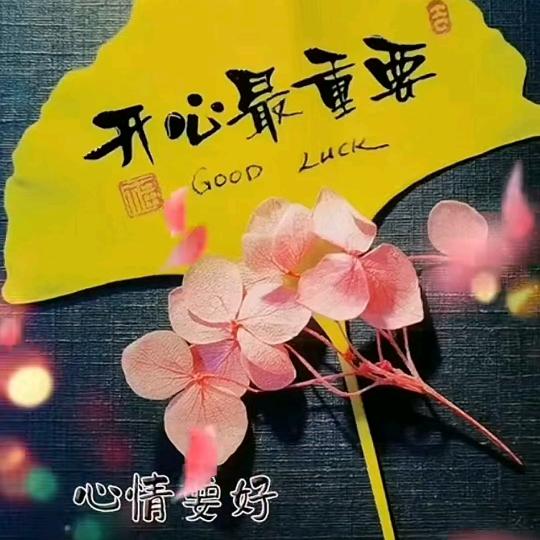 （执着）