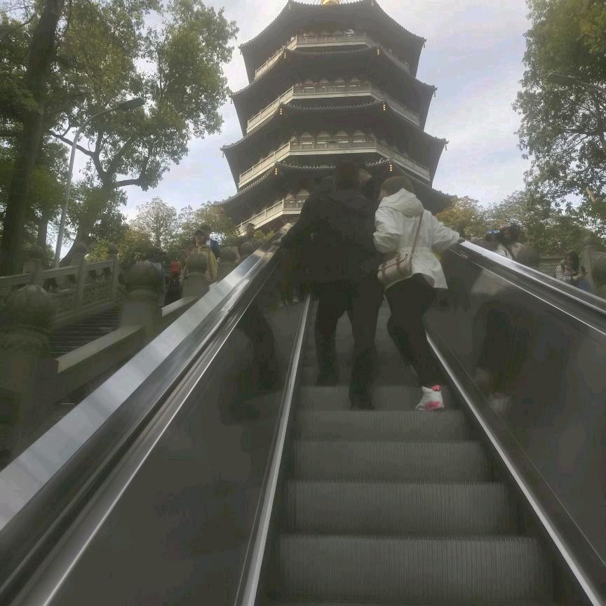 豫东