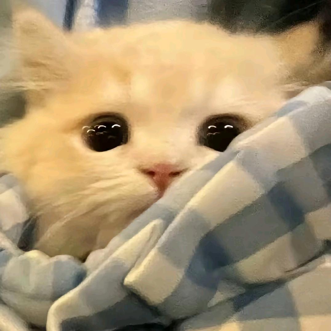 —