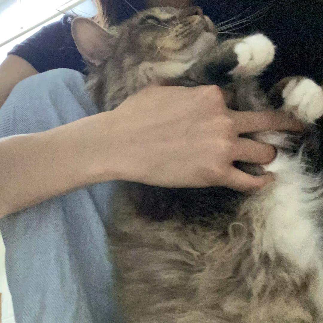 你可以a
