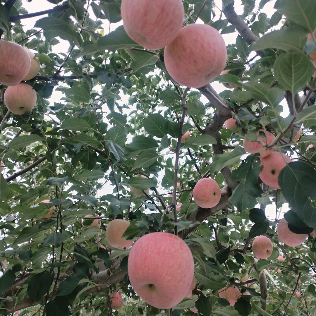 安装断桥铝系统门窗