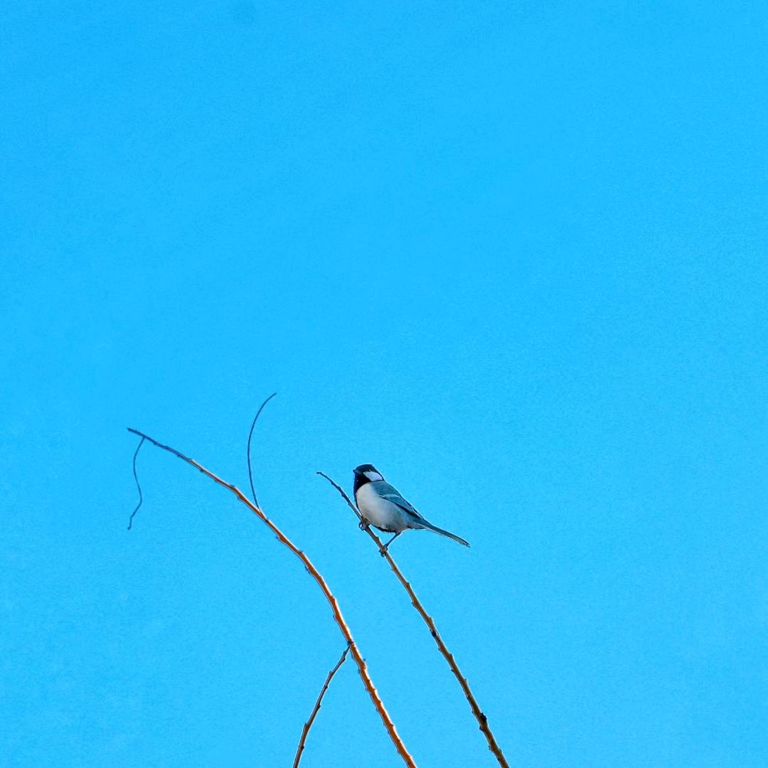 是小太阳🔆呀
