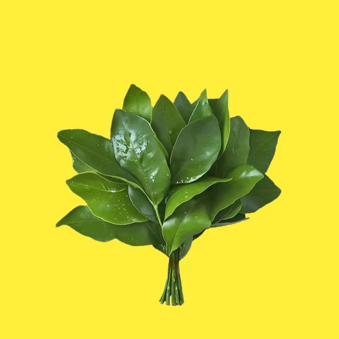 超级欢