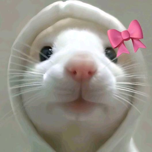 ^L.