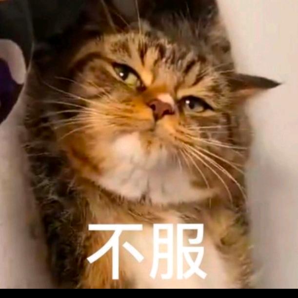 鹏程万里，未来可期！