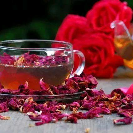 期权博导(私教）