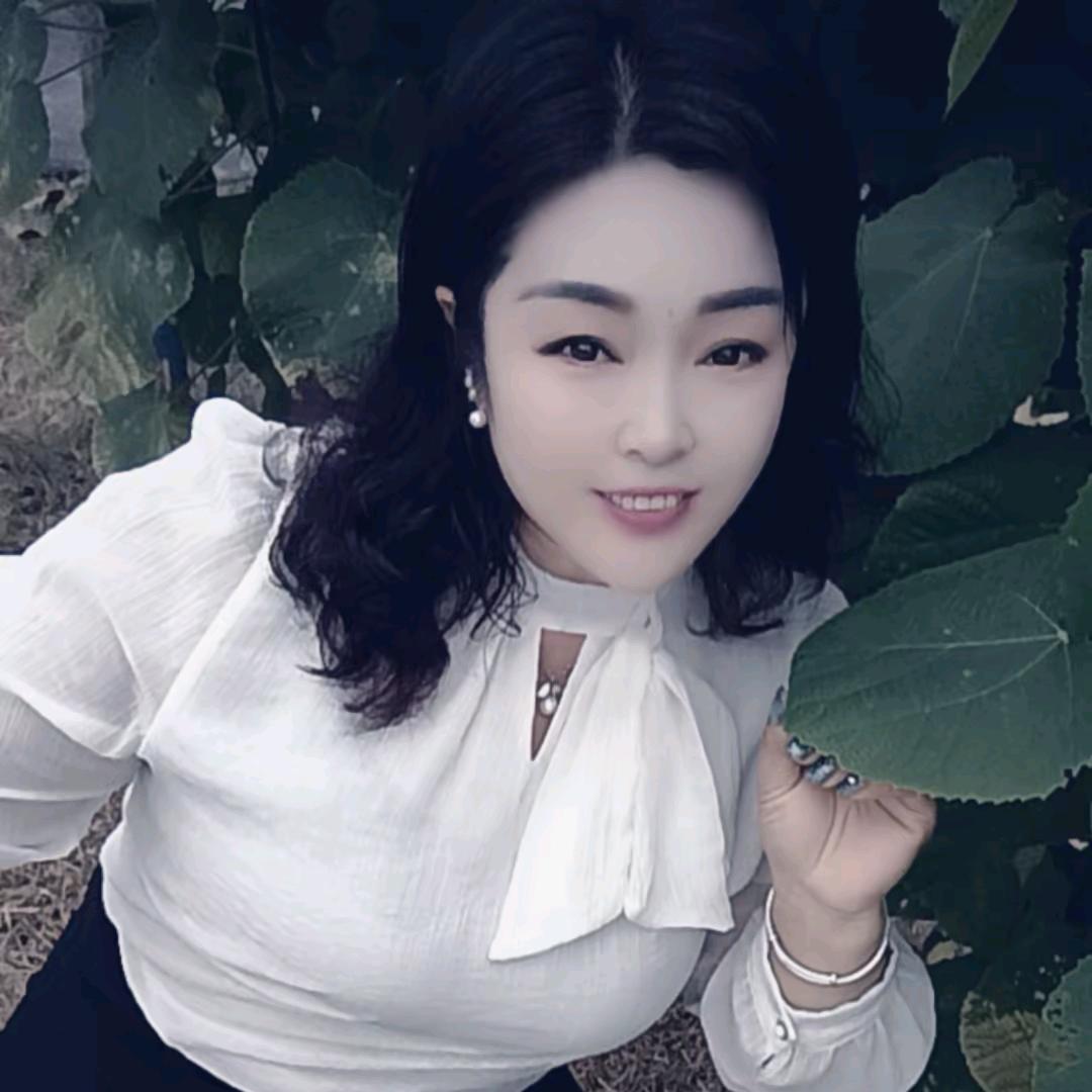 我是一只单身蝴蝶