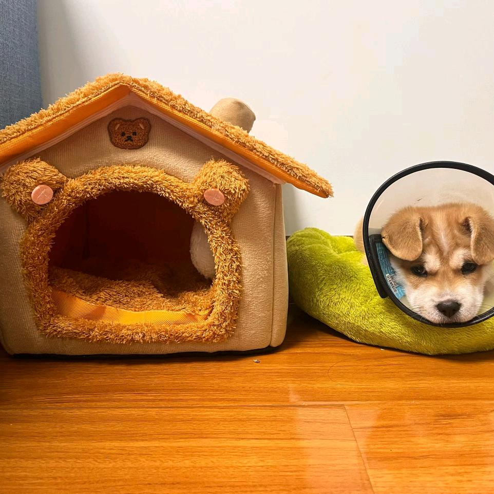 该用户不存在85771266